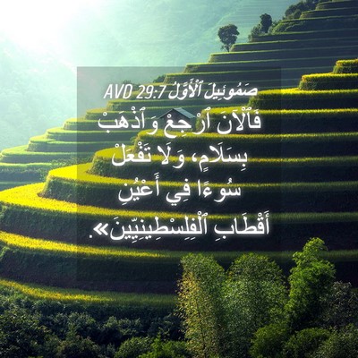 Picture 04 - صَمُوئِيلَ ٱلْأَوَّلُ 29:7 AVD - فَٱلْآنَ ٱرْجِعْ - Bible Verse Picture