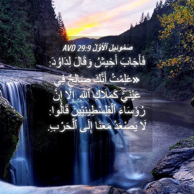 Picture 04 - صَمُوئِيلَ ٱلْأَوَّلُ 29:9 AVD - فَأَجَابَ أَخِيشُ وَقَالَ - Bible Verse Picture