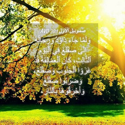 Picture 04 - صَمُوئِيلَ ٱلْأَوَّلُ 30:1 AVD - وَلَمَّا جَاءَ دَاوُدُ - Bible Verse Picture
