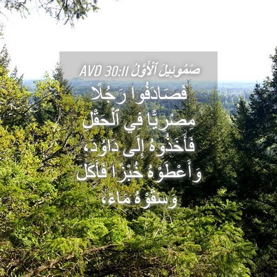 Picture 04 - صَمُوئِيلَ ٱلْأَوَّلُ 30:11 AVD - فَصَادَفُوا رَجُلًا - Bible Verse Picture