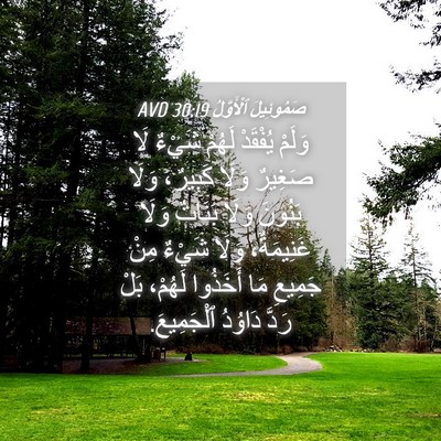 Picture 04 - صَمُوئِيلَ ٱلْأَوَّلُ 30:19 AVD - وَلَمْ يُفْقَدْ لَهُمْ - Bible Verse Picture