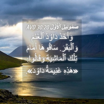 Picture 04 - صَمُوئِيلَ ٱلْأَوَّلُ 30:20 AVD - وَأَخَذَ دَاوُدُ - Bible Verse Picture