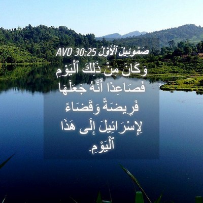 Picture 04 - صَمُوئِيلَ ٱلْأَوَّلُ 30:25 AVD - وَكَانَ مِنْ ذَلِكَ - Bible Verse Picture