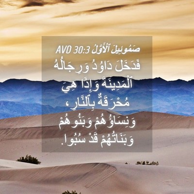 Picture 04 - صَمُوئِيلَ ٱلْأَوَّلُ 30:3 AVD - فَدَخَلَ دَاوُدُ - Bible Verse Picture