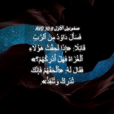 Picture 04 - صَمُوئِيلَ ٱلْأَوَّلُ 30:8 AVD - فَسَأَلَ دَاوُدُ مِنَ - Bible Verse Picture