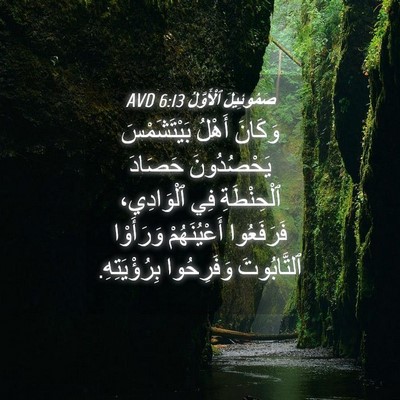 Picture 04 - صَمُوئِيلَ ٱلْأَوَّلُ 6:13 AVD - وَكَانَ أَهْلُ - Bible Verse Picture