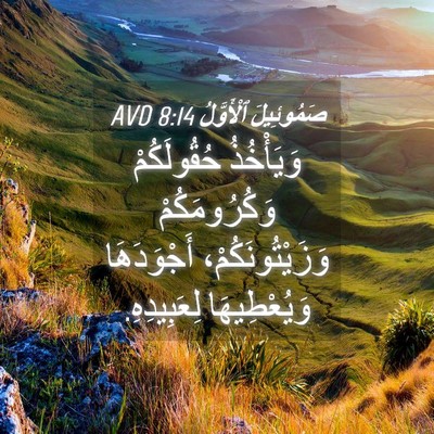 Picture 04 - صَمُوئِيلَ ٱلْأَوَّلُ 8:14 AVD - وَيَأْخُذُ حُقُولَكُمْ - Bible Verse Picture