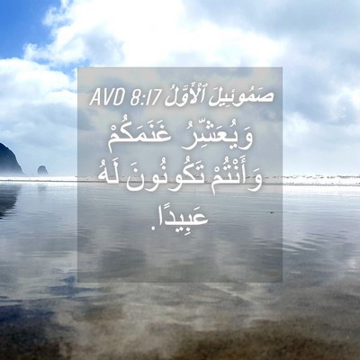 Picture 04 - صَمُوئِيلَ ٱلْأَوَّلُ 8:17 AVD - وَيُعَشِّرُ غَنَمَكُمْ - Bible Verse Picture