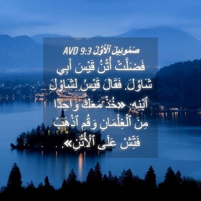Picture 04 - صَمُوئِيلَ ٱلْأَوَّلُ 9:3 AVD - فَضَلَّتْ أُتُنُ قَيْسَ - Bible Verse Picture