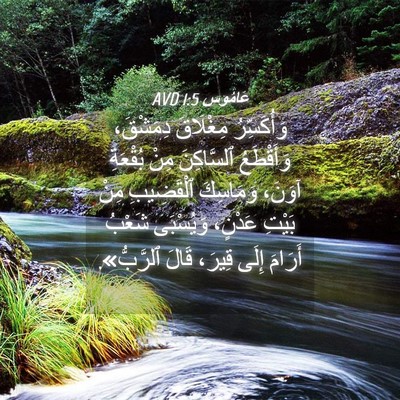 Picture 04 - عَامُوس 1:5 AVD - وَأُكَسِّرُ مِغْلَاقَ - Bible Verse Picture
