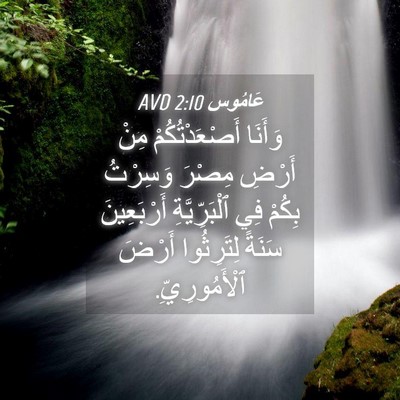 Picture 04 - عَامُوس 2:10 AVD - وَأَنَا أَصْعَدْتُكُمْ - Bible Verse Picture