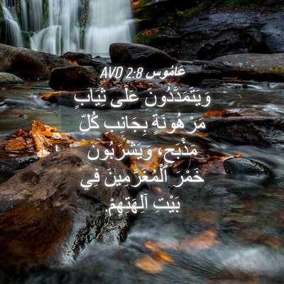 Picture 04 - عَامُوس 2:8 AVD - وَيَتَمَدَّدُونَ عَلَى - Bible Verse Picture