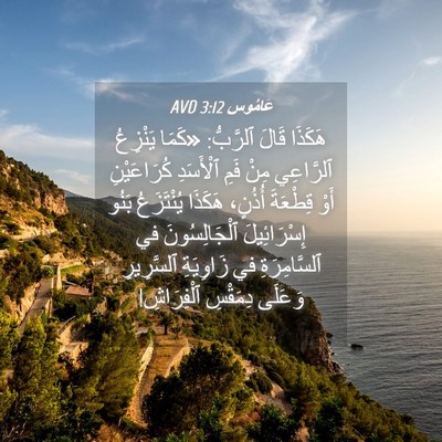 Picture 04 - عَامُوس 3:12 AVD - هَكَذَا قَالَ ٱلرَّبُّ: - Bible Verse Picture