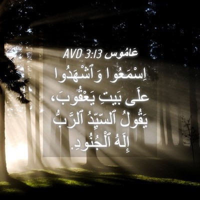 Picture 04 - عَامُوس 3:13 AVD - اِسْمَعُوا وَٱشْهَدُوا - Bible Verse Picture