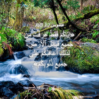 Picture 04 - عَامُوس 3:2 AVD - «إِيَّاكُمْ فَقَطْ - Bible Verse Picture