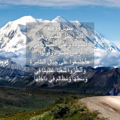 Picture 04 - عَامُوس 3:9 AVD - نَادُوا عَلَى ٱلْقُصُورِ - Bible Verse Picture