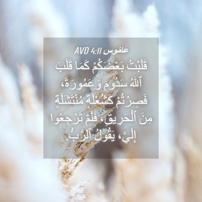 Picture 04 - عَامُوس 4:11 AVD - قَلَبْتُ بَعْضَكُمْ كَمَا - Bible Verse Picture
