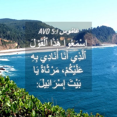 Picture 04 - عَامُوس 5:1 AVD - اِسْمَعُوا هَذَا - Bible Verse Picture