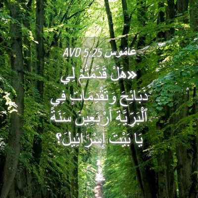 Picture 04 - عَامُوس 5:25 AVD - «هَلْ قَدَّمْتُمْ لِي - Bible Verse Picture