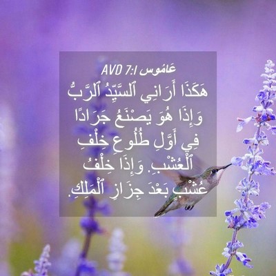 Picture 04 - عَامُوس 7:1 AVD - هَكَذَا أَرَانِي - Bible Verse Picture