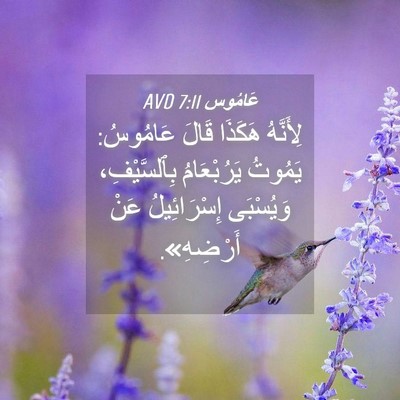 Picture 04 - عَامُوس 7:11 AVD - لِأَنَّهُ هَكَذَا قَالَ - Bible Verse Picture