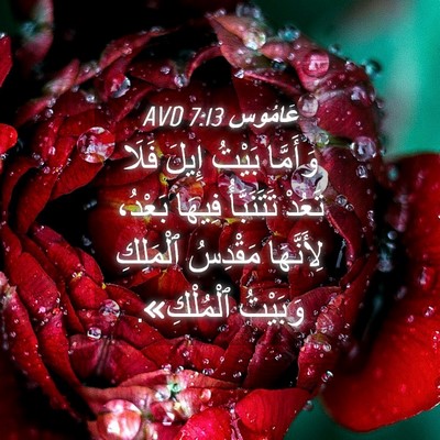 Picture 04 - عَامُوس 7:13 AVD - وَأَمَّا بَيْتُ إِيلَ - Bible Verse Picture