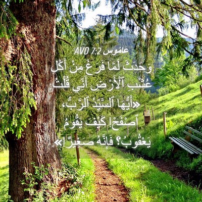 Picture 04 - عَامُوس 7:2 AVD - وَحَدَثَ لَمَّا فَرَغَ - Bible Verse Picture