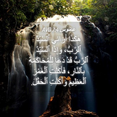 Picture 04 - عَامُوس 7:4 AVD - هَكَذَا أَرَانِي - Bible Verse Picture