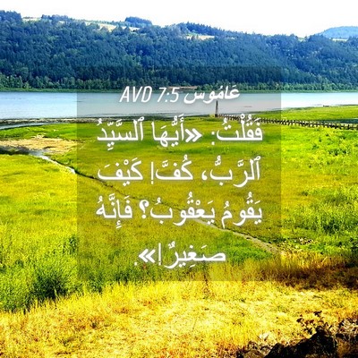 Picture 04 - عَامُوس 7:5 AVD - فَقُلْتُ: «أَيُّهَا - Bible Verse Picture
