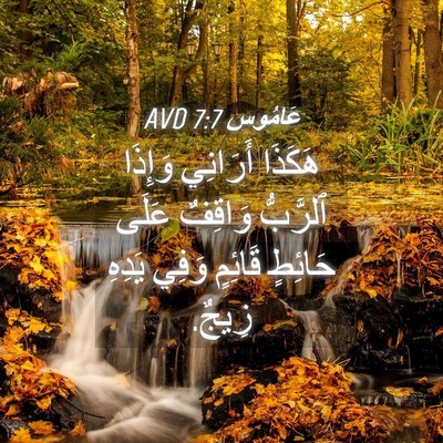 Picture 04 - عَامُوس 7:7 AVD - هَكَذَا أَرَانِي وَإِذَا - Bible Verse Picture