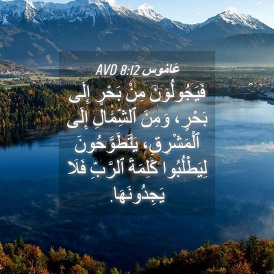 Picture 04 - عَامُوس 8:12 AVD - فَيَجُولُونَ مِنْ بَحْرٍ - Bible Verse Picture