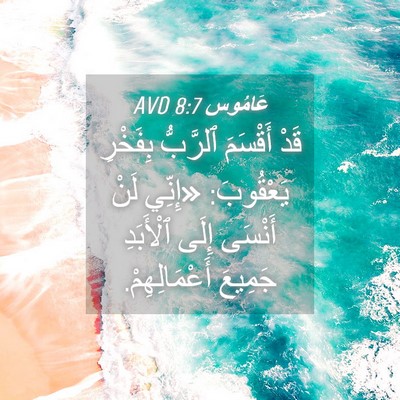 Picture 04 - عَامُوس 8:7 AVD - قَدْ أَقْسَمَ ٱلرَّبُّ - Bible Verse Picture