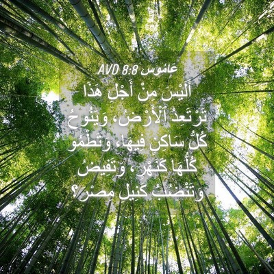 Picture 04 - عَامُوس 8:8 AVD - أَلَيْسَ مِنْ أَجْلِ هَذَا - Bible Verse Picture