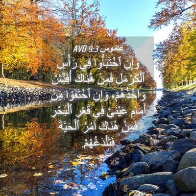Picture 04 - عَامُوس 9:3 AVD - وَإِنِ ٱخْتَبَأُوا فِي - Bible Verse Picture