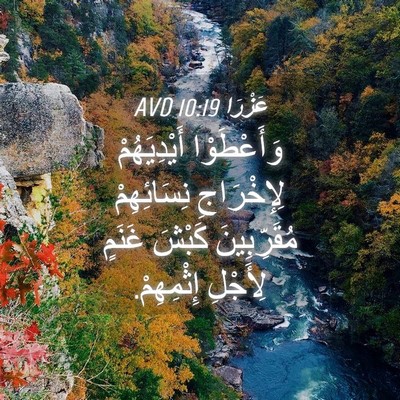 Picture 04 - عَزْرَا 10:19 AVD - وَأَعْطَوْا أَيْدِيَهُمْ - Bible Verse Picture