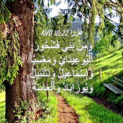 Picture 04 - عَزْرَا 10:22 AVD - وَمِنْ بَنِي فَشْحُورَ: - Bible Verse Picture