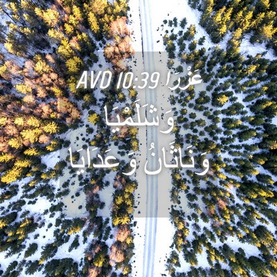 Picture 04 - عَزْرَا 10:39 AVD - وَشَلَمْيَا وَنَاثَانُ - Bible Verse Picture