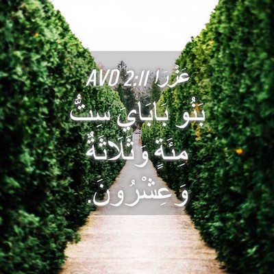 Picture 04 - عَزْرَا 2:11 AVD - بَنُو بَابَايَ سِتُّ - Bible Verse Picture