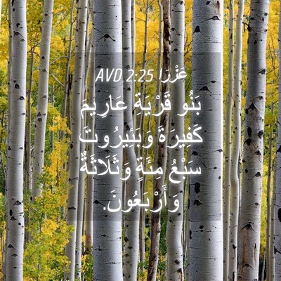 Picture 04 - عَزْرَا 2:25 AVD - بَنُو قَرْيَةِ عَارِيمَ - Bible Verse Picture