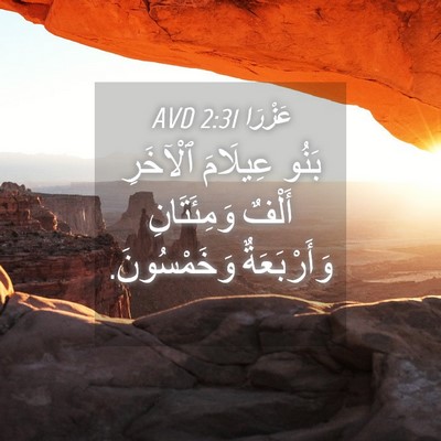 Picture 04 - عَزْرَا 2:31 AVD - بَنُو عِيلَامَ ٱلْآخَرِ - Bible Verse Picture