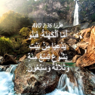 Picture 04 - عَزْرَا 2:36 AVD - أَمَّا ٱلْكَهَنَةُ: - Bible Verse Picture