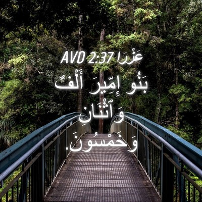 Picture 04 - عَزْرَا 2:37 AVD - بَنُو إِمِّيرَ أَلْفٌ - Bible Verse Picture