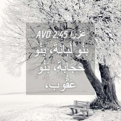Picture 04 - عَزْرَا 2:45 AVD - بَنُو لَبَانَةَ، بَنُو - Bible Verse Picture