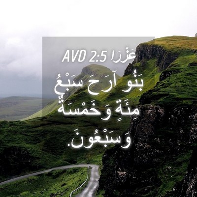 Picture 04 - عَزْرَا 2:5 AVD - بَنُو آرَحَ سَبْعُ مِئَةٍ - Bible Verse Picture