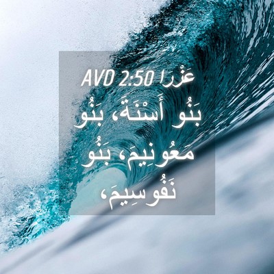Picture 04 - عَزْرَا 2:50 AVD - بَنُو أَسْنَةَ، بَنُو - Bible Verse Picture