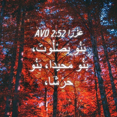 Picture 04 - عَزْرَا 2:52 AVD - بَنُو بَصْلُوتَ، بَنُو - Bible Verse Picture