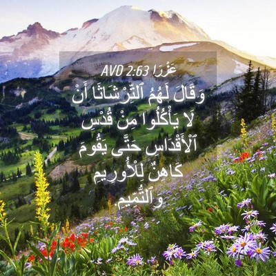 Picture 04 - عَزْرَا 2:63 AVD - وَقَالَ لَهُمُ - Bible Verse Picture