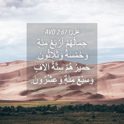 Picture 04 - عَزْرَا 2:67 AVD - جِمَالُهُمْ أَرْبَعُ - Bible Verse Picture