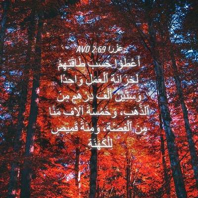 Picture 04 - عَزْرَا 2:69 AVD - أَعْطَوْا حَسَبَ - Bible Verse Picture