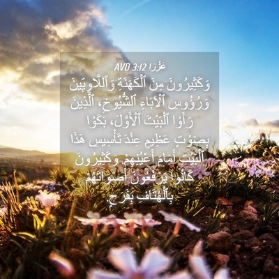 Picture 04 - عَزْرَا 3:12 AVD - وَكَثِيرُونَ مِنَ - Bible Verse Picture